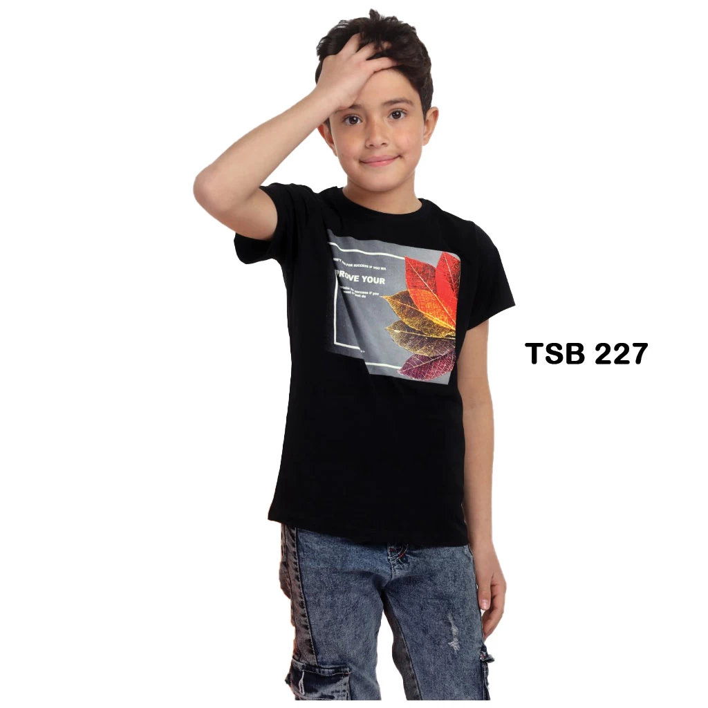 Boys T-Shirt with Different Designs and Colors